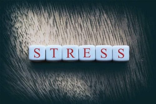 Reduce Stress When Moving